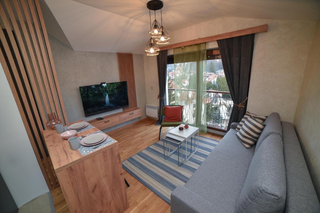 Aria Club Wellness&Spa Zlatibor Kültér fotó